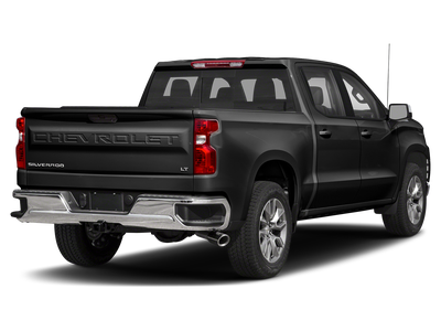 2019 Chevrolet Silverado 1500 LT Texas Edition