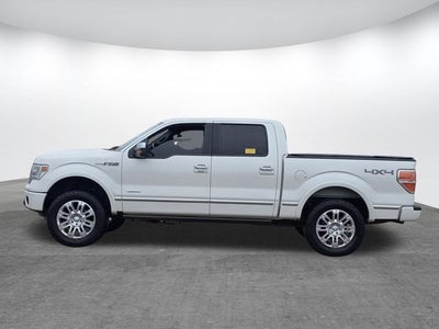 2013 Ford F-150 Platinum
