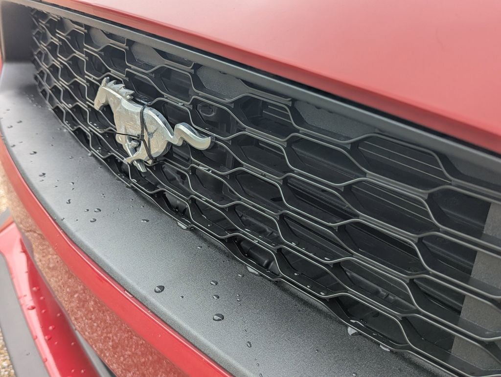 2021 Ford Mustang EcoBoost