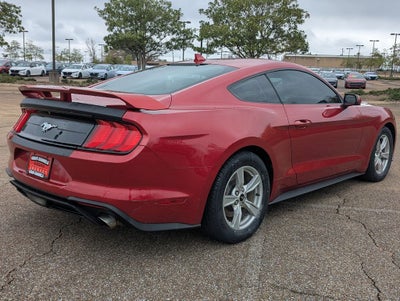 2021 Ford Mustang EcoBoost