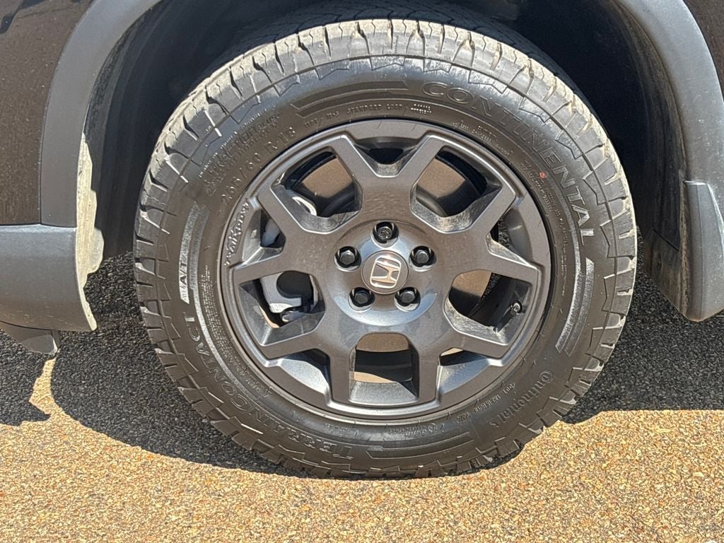 2025 Honda Pilot TrailSport